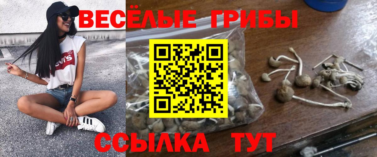 Галлюциногенные грибы MAGIC MUSHROOMS Кунгур