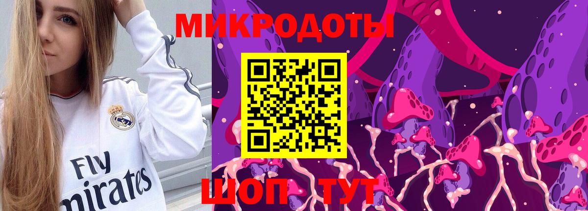 Кунгур  Галлюциногенные грибы Cubensis  Вход с VPN 